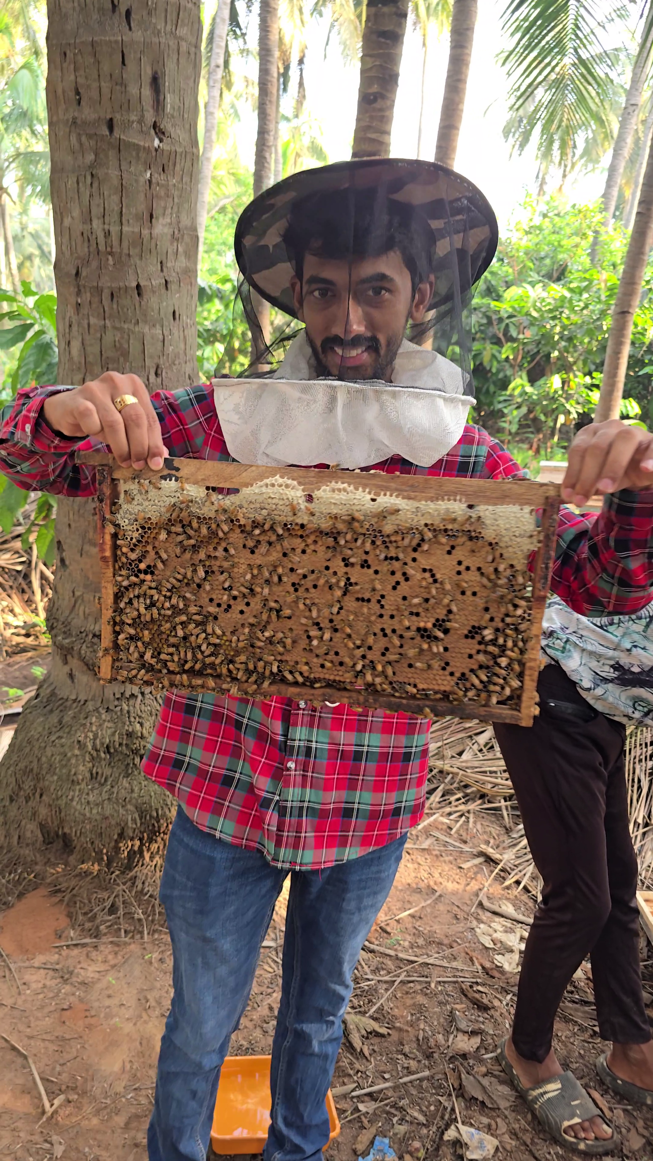 KRIVEVA beekeeper frame